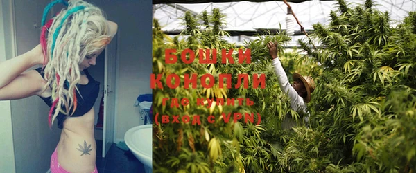 прущие грибы Каменка